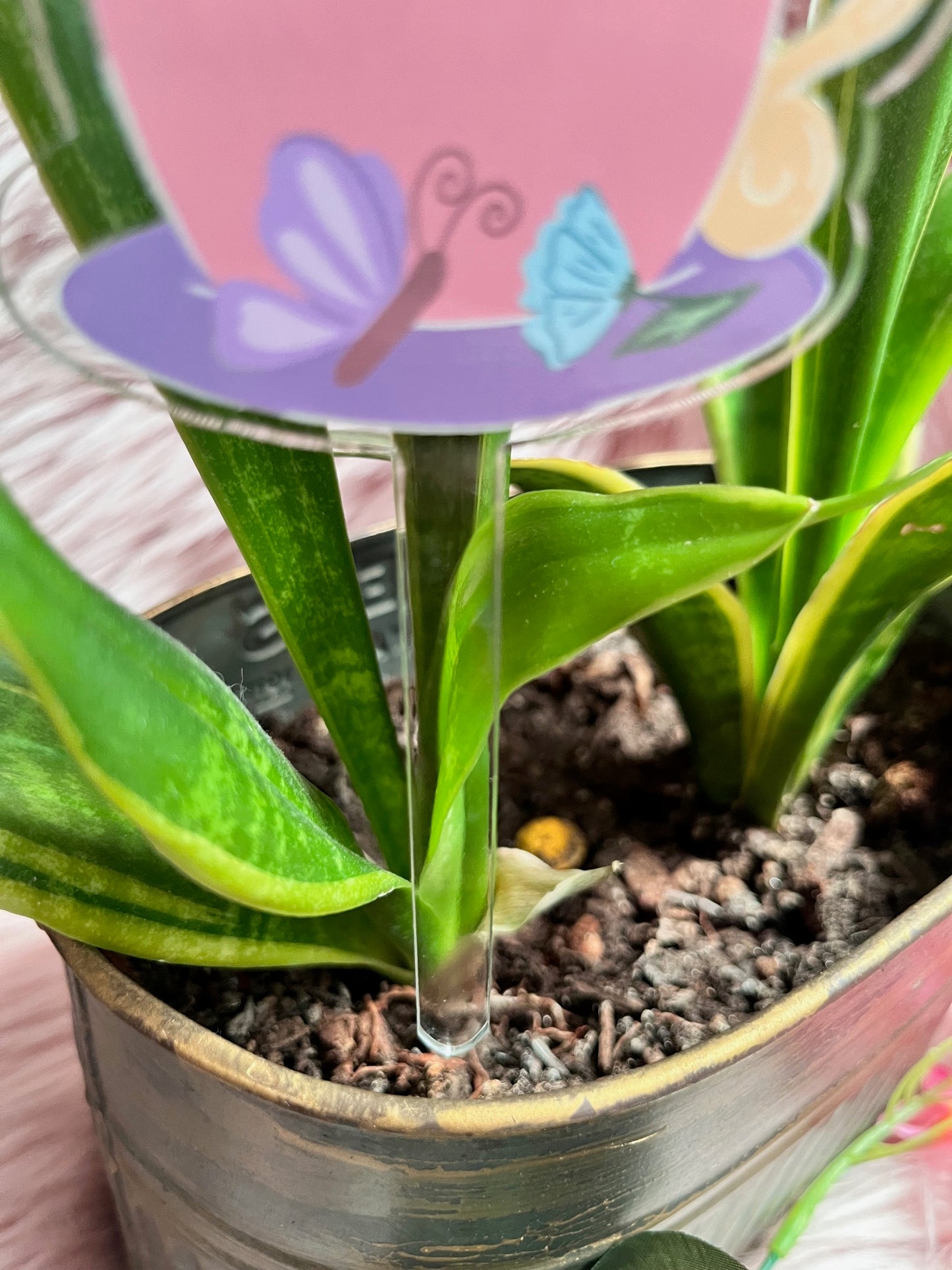 Spring Buddy Plant Stake