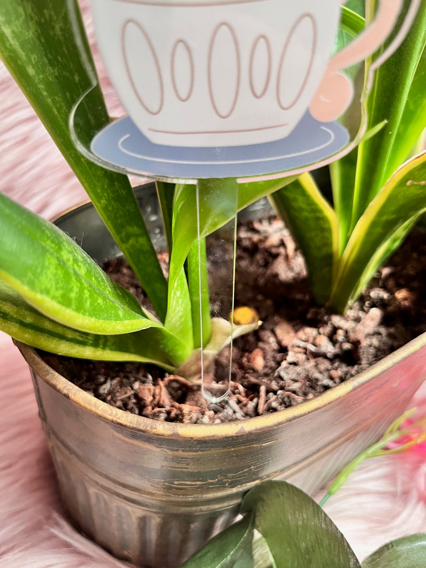 Hungry Caterpillar Plant Stake