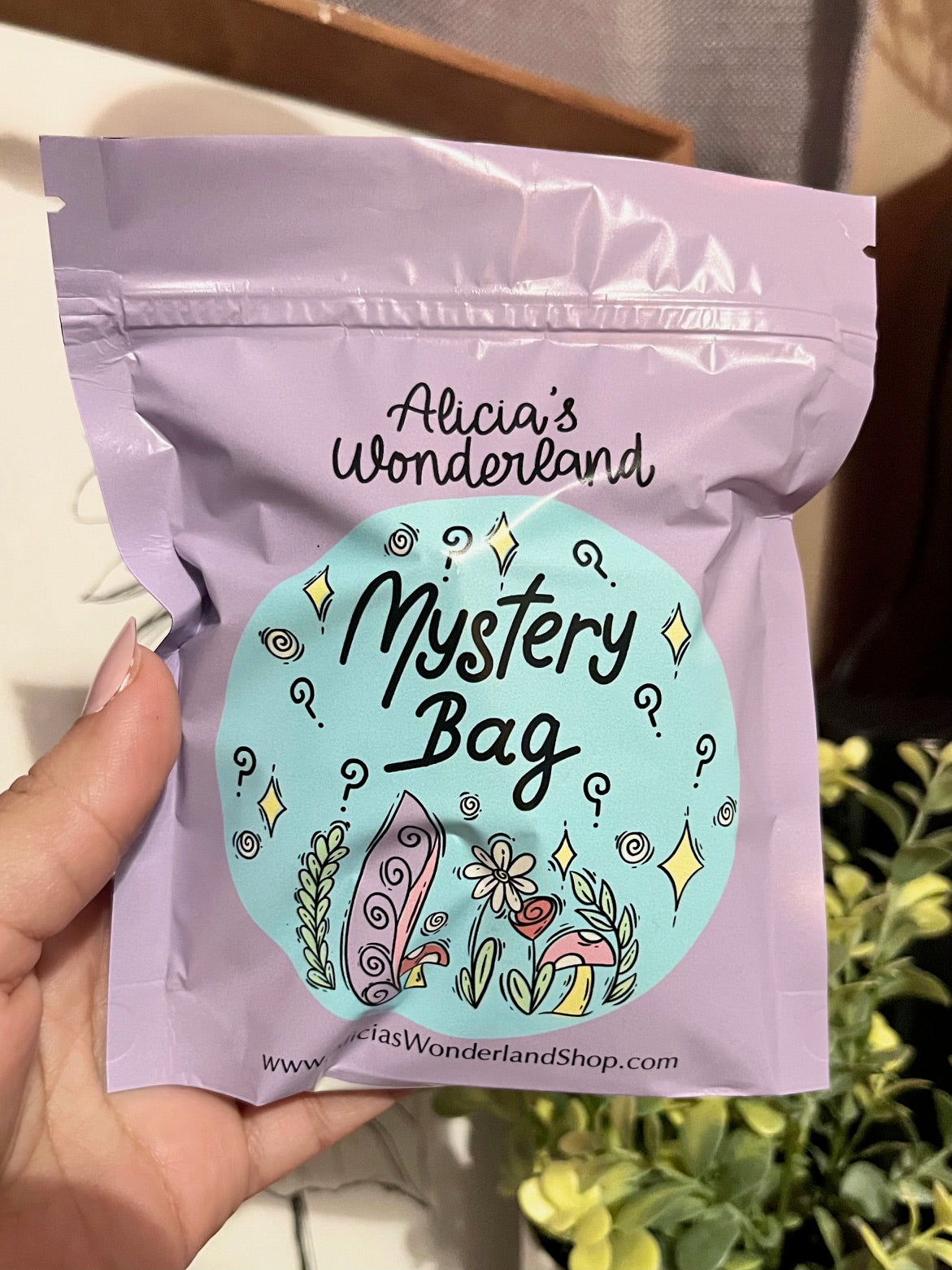 $10 Mystery Bag